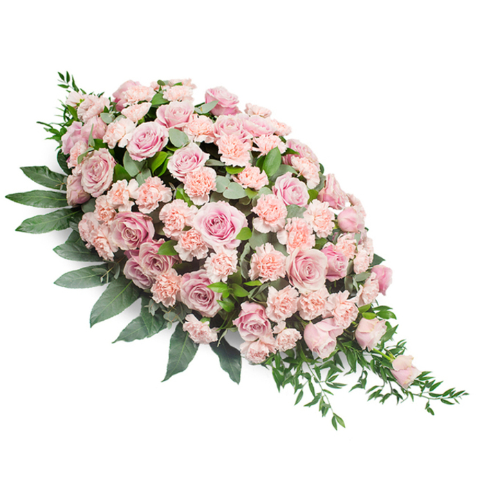 Against a bright white backdrop, an elongated pink casket spray stretches diagonally, its elegant teardrop silhouette widening generously at the top and tapering to a refined point at the bottom right. The piece is lavishly filled with soft pink roses and light peach-pink carnations, arranged so closely that they create an almost continuous blanket of petals. The roses, in shades of blush and dusty rose, range from tight buds to fully opened blooms that reveal intricate, layered centres, each one a quiet symbol of love and remembrance. The carnations, with their distinctive ruffled edges, nestle between the roses and add a gentle, cloud-like texture that softens the entire design. Deep green foliage surrounds and supports the blooms: broad, lustrous leaves provide structure and contrast along the outer edges, while finer, more feathery greenery threads through the centre and trails from the narrow tip, introducing a delicate sense of movement. This interplay of shape and texture gives the spray an appearance of graceful flow, as if the flowers were gently cascading downward in a final, tender gesture. The pastel colours paired with the rich greens create a serene, comforting mood, reminiscent of a quiet walk through the green spaces around Beverley Brook or under the trees near New Malden station. The careful, symmetrical placement of each flower reflects skilled local floristry, ensuring the spray would sit beautifully on a coffin or memorial stand during a funeral. It offers a soft, dignified tribute, perfectly suited to services in and around New Malden, where families gather to say a heartfelt farewell and celebrate a life remembered with love.