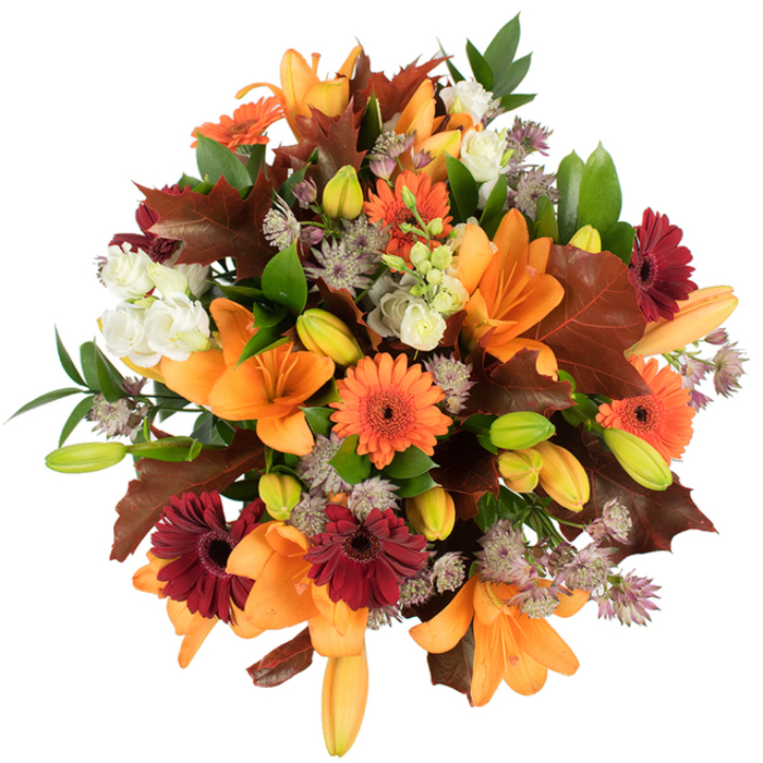 Seen from just above, this densely arranged autumn bouquet reads like a miniature woodland scene captured in bloom - a careful blend of texture, colour, and seasonality that feels both abundant and refined. Prominent orange Asiatic lilies dominate the composition, their wide, trumpet-shaped petals unfurled to reveal satiny surfaces and graceful curves; nearby, compact lily buds in pale orange and fresh green promise unfolding drama. Bright orange Gerbera daisies sit like cheerful, graphic suns among the petals, contrasted by sumptuous burgundy-red Gerberas whose deeper tones add visual weight. Soft clusters of ivory Lisianthus or small roses introduce a gentleness to the mix, their layered, ruffled petals creating tender light-and-shadow pockets. Sprigs of muted purple Astrantia lend intricate, star-like textures that draw attention to the bouquet's finer details. Autumnal character is reinforced by broad, lobed leaves in reddish-brown - evocative of oak or maple - carefully placed to mimic fallen foliage, their edges and veins visibly textured against the blooms. Fresh green foliage and slender stems weave through the arrangement, giving it structure and a lively backdrop. Shot on a pure white field, the arrangement's colours are vivid and true, emphasising the craftsmanship behind the tapering shapes and compact silhouette. As a New Malden florist, Flower Delivery New Malden imagines this piece on a seasonal table by the window, whether delivering it from near New Malden station or arranging it for a gathering close to Coombe Lane; it's ideal for Thanksgiving, harvest celebrations, or a heartfelt autumn birthday present, evoking the soft warmth and tactile pleasure of leaves underfoot and petals under your fingertips.