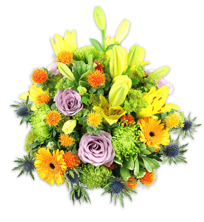 Presented on a crisp white background, this densely packed floral composition marries exuberant colour with refined form. Several sun-bright yellow Asiatic lilies dominate, some opened wide to display their speckled interiors and graceful stamens, others retained as tapered buds that point upward and suggest growth. Two softly hued lavender roses provide a calm, elegant nucleus; their powdery petals unwind in classic spirals that soothe the eye. Generous orange Gerbera daisies spread broad, flat petals around darker centers, introducing friendly cheer, while little orange and golden spherical accents - the kind of prickly, playful blooms you might recognise as Billy Buttons or small protea-like pom-poms - scatter rhythmically through the design. Vibrant chartreuse button chrysanthemums supply abundant, textured volume and a lush green cushioning effect. Striking blue-grey Eryngium thistles emerge from the lower and lateral planes, their starry, spiky forms offering a modern, architectural contrast that gives the arrangement depth. A variety of lush green foliage frames and supports every bloom, with leaves catching soft studio highlights and creating gentle shadows that emphasize shape. As a florist who often delivers to homes near Coombe Lane, Kingston Road and the little cafes around New Malden station, I see this as a versatile choice for birthdays, anniversaries, or as a bright, sympathetic piece for someone needing comfort. The bouquet feels tactile and fragrant - the lilies' mild perfume threaded through the roses' gentle scent - and reads as both celebratory and quietly thoughtful, crafted with considered balance and local care.