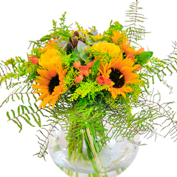Warmth and vibrancy flow from this dazzling New Malden bouquet-a sun-kissed cascade of sunflowers and yellow garden roses designed to echo the area's inviting neighbourhood charm. Each sunflower, with its wide-reaching golden petals and contrasting deep center, conjures images of community festivals or walks along the gentle bends of Beverley Brook. Nestled close, yellow roses unfold in intricate spirals, their softness a nod to the classic blooms found in local cottage gardens. Glossy red Hypericum berries catch the light from nearby windows, punctuating the arrangement with playful, jewel-like pops amid the verdant foliage of ferns and slender greens. Sprigs of goldenrod introduce flecks of tiny yellow, while eucalyptus adds a calming, silvery blue-green touch reminiscent of tranquil New Malden mornings. The clear, bowl-shaped glass vase supports each stem, the submerged greens hinting at the bouquet's freshness and the artistry that local florists bring to their craft. Shadows and sunlight together play on petals and glass, lending depth and shifting texture-like a quiet celebration captured in flowers. The arrangement's gentle fragrance carries just a whisper of open fields, making it a fitting centerpiece for joyful gatherings, anniversaries, or heartfelt tokens of appreciation among neighbours. It is a living tribute to the community's passion for beauty, a moment of brightness crafted by the hands of New Malden's skilled florists.